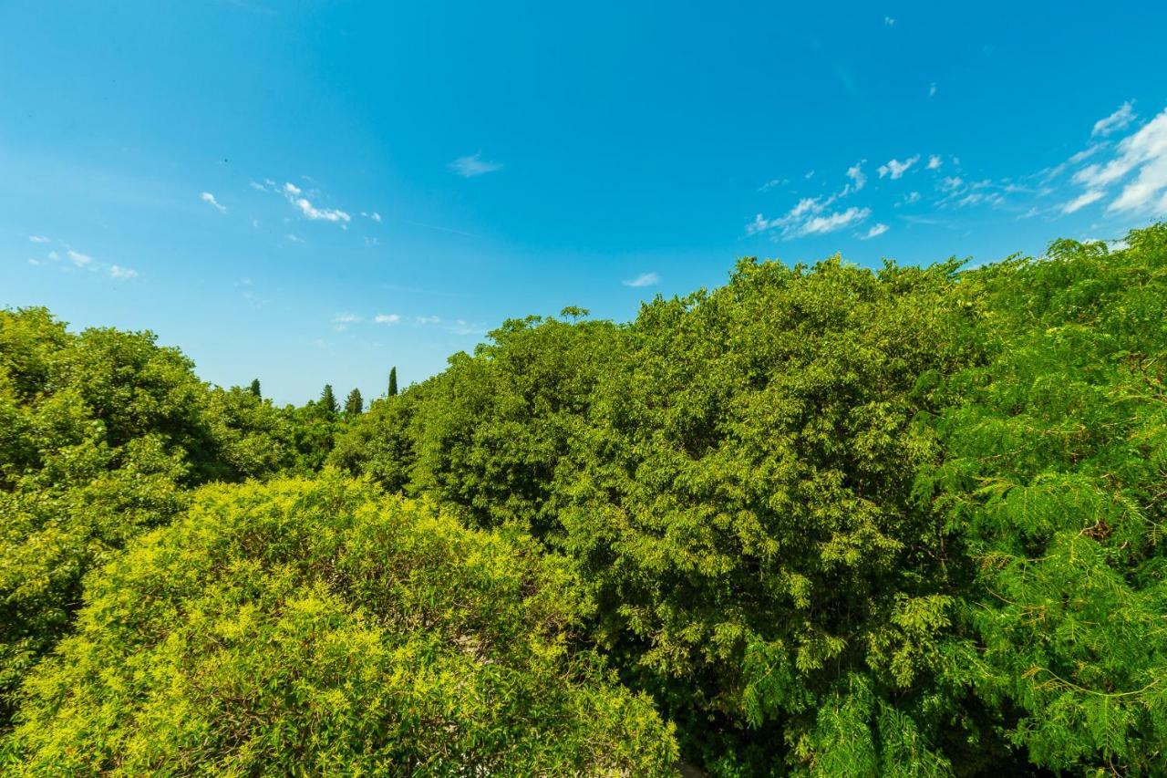 Hedera Estate, Hedera A1 Appartement Dubrovnik Buitenkant foto